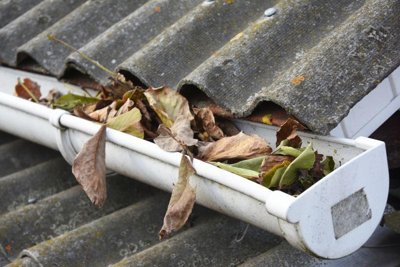 Commercial Gutter Unclogging in Littleton, CO