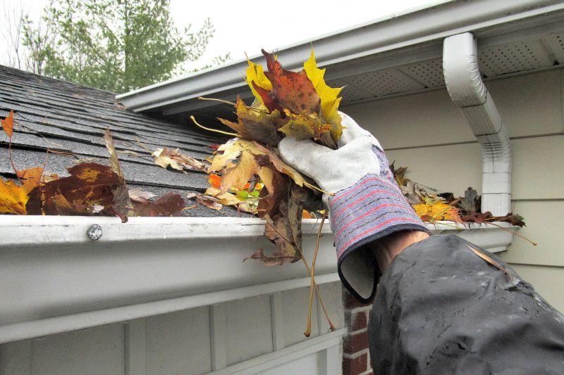 Gutter Leaf Clearing in Boulder, CO