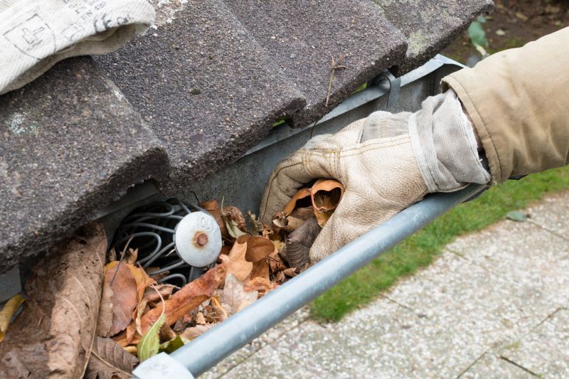 Gutter Leaf Clearing in Frederick, MD