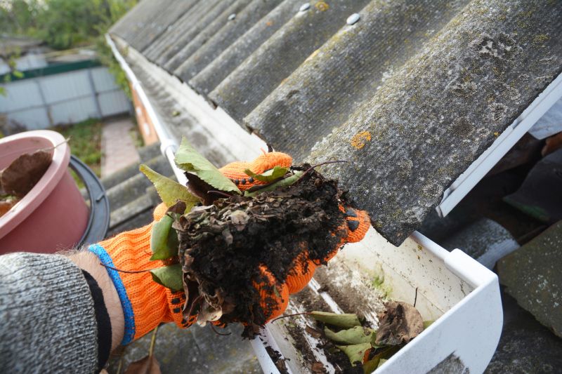 Gutter Leaf Clearing in Fredericksburg, VA