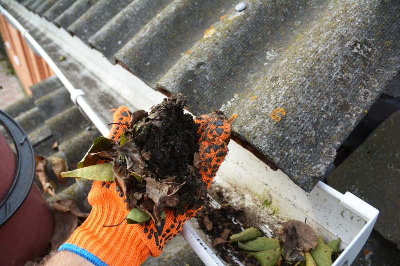 Gutter Leaves Removal in Fredericksburg, VA