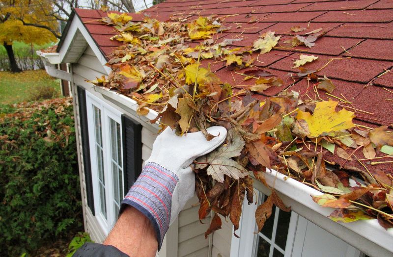 Gutter Pine Needle Removal in Annapolis, MD