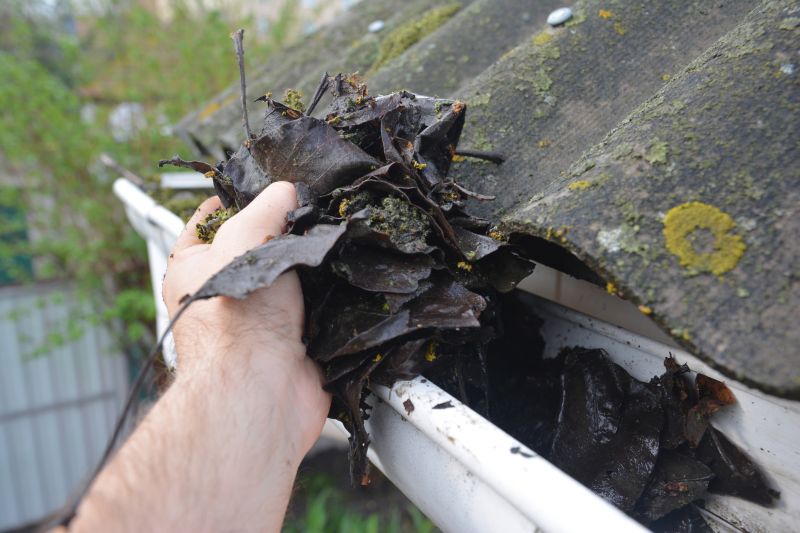 Rain Gutter Clearing in Arvada, CO