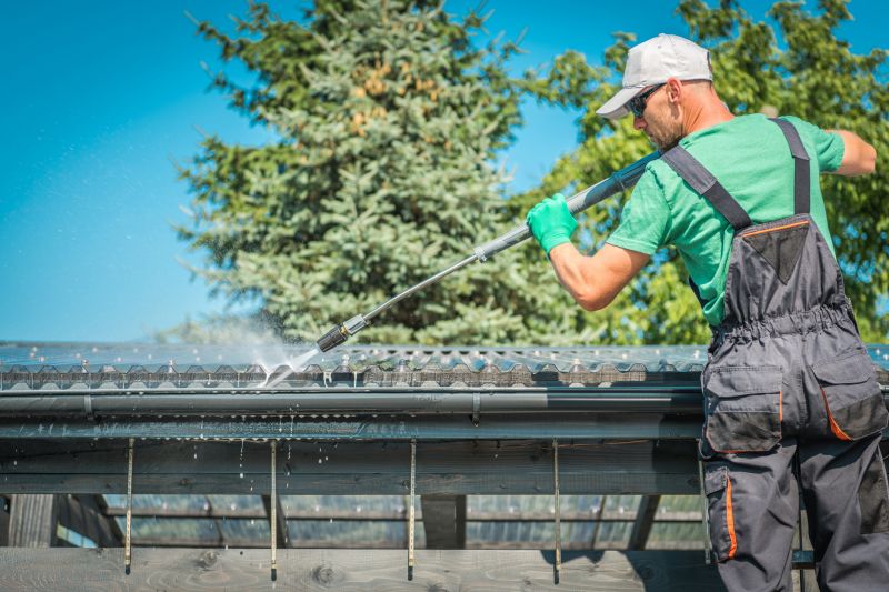 Roof Gutter Cleaning in Monmouth County, NJ
