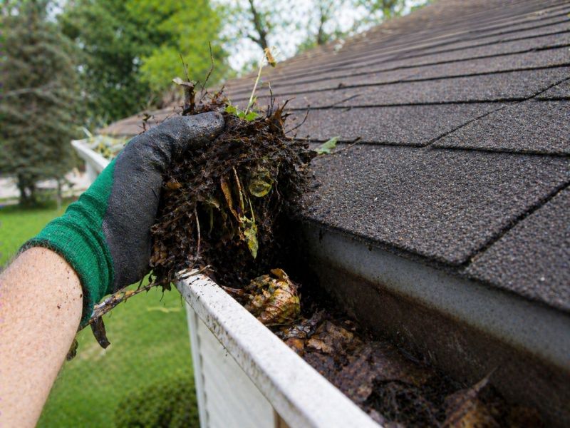 Gutter Leaves Removal in Rochester, NY